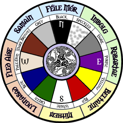 The Twelve Winds of Color.