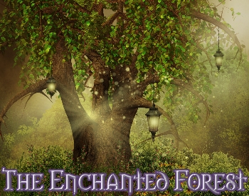 The Enchanted Forest.
